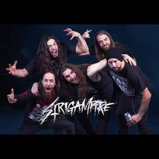 Strigampire Music Discography