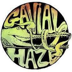 Gavial Haze Music Discography