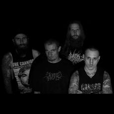 Visceral Disgorge Music Discography