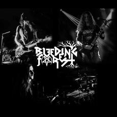 Bleeding Forest Music Discography