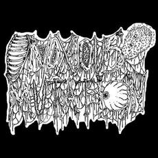 Noxious Mutation Music Discography