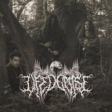 Life Demise Music Discography