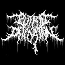 Putrid Defecation Music Discography