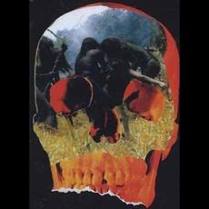 Cannibal Ritual Music Discography