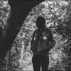 Dawn Treader Music Discography