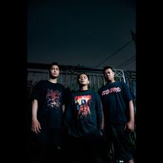 Gore Animal Music Discography