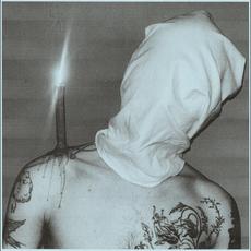 Fleckentarn Music Discography