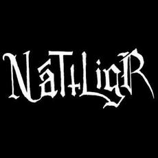 Náttligr Music Discography