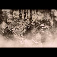 Åskog Music Discography