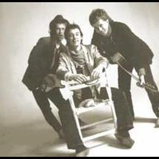 Pukka Orchestra Music Discography