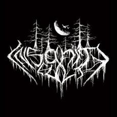 Insanity Cult Music Discography