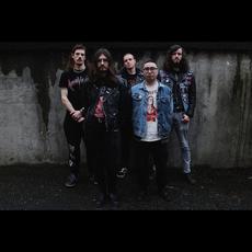 Vacuous Music Discography