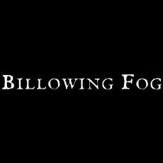 Billowing Fog Music Discography
