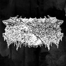 Vortekke Music Discography