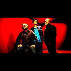 Fred And The Healers Music Discography