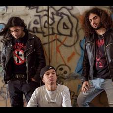 The Wrestlers Music Discography