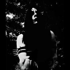 Hylskog Music Discography