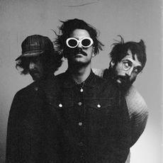 Sexy Zebras Music Discography