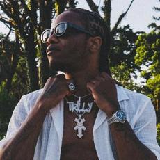 Youngs Teflon Music Discography