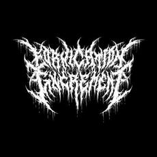 Fornication Excrement Music Discography