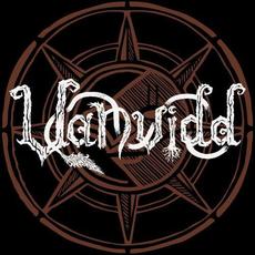 Vanvidd Music Discography