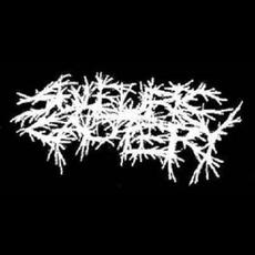Sulfuric Cautery Music Discography