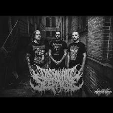 Dissonant Seepage Music Discography