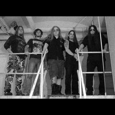 Aurora Borealis (2) Music Discography