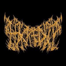 Hacked Up Music Discography