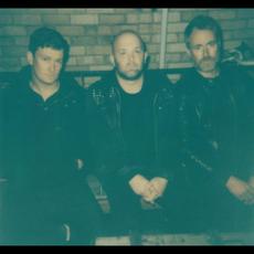 The Peep Tempel Music Discography