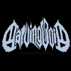 Carving Void Music Discography