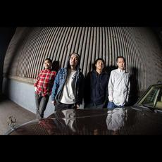 HONEY SUGAR MILK CHOCOLATES Music Discography