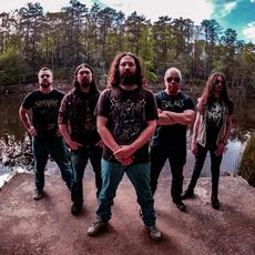 Metaphobic Music Discography