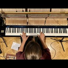 Diego Petrini Music Discography