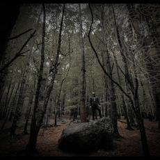 Temair Music Discography