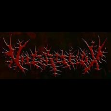 Vile Reflux Music Discography