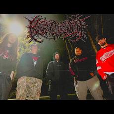 Roots of Deception Music Discography