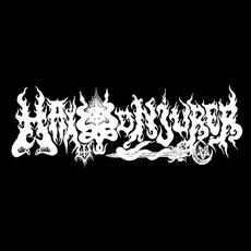 Hail Conjurer Music Discography