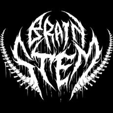 Brain Stem Music Discography