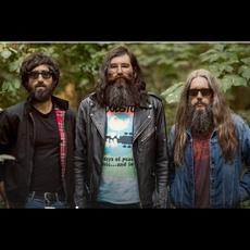 Arizona Baby Music Discography