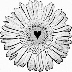 Avantfrank Music Discography