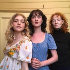 Folk Bitch Trio Music Discography