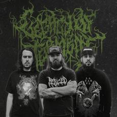 Legacy of Torment Music Discography