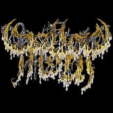 Sallow Moth Music Discography