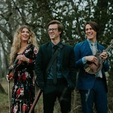 The Arcadian Wild Music Discography