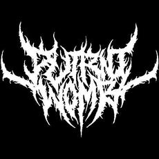 Putrid Womb Music Discography