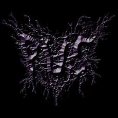 Pus Music Discography