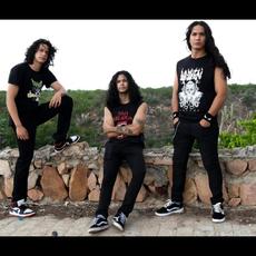 Metabolica Music Discography