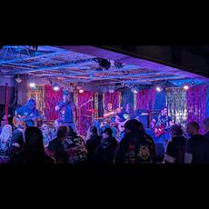 Profligator Music Discography