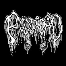 Podridão Music Discography